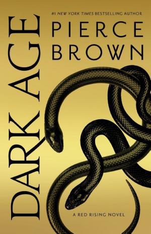 Cover image for Dark Age by Pierce Brown.