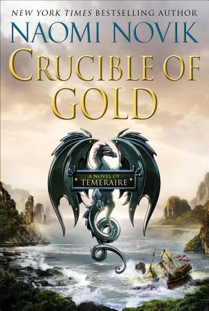 Cover image for Crucible of Gold by Naomi Novik.