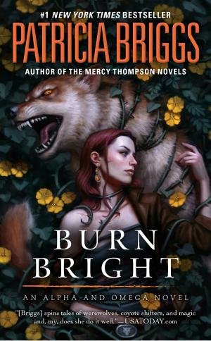 Cover image for Burn Bright by Patricia Briggs.