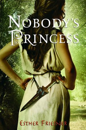 Cover image for Nobody's Princess by Esther Friesner.