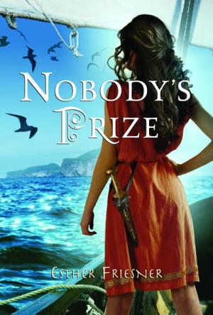 Cover image for Nobody's Prize by Esther Friesner.