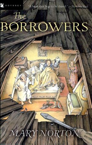 Cover image for The Borrowers by Mary Norton.