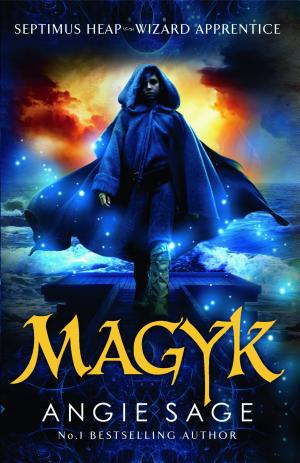 Cover image for Magyk by Angie Sage.