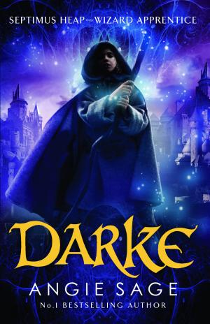 Cover image for Darke by Angie Sage.