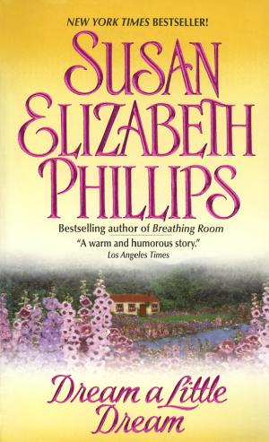 Cover image for Dream a Little Dream by Susan Elizabeth Phillips.