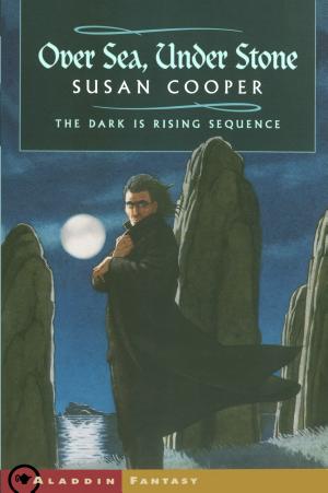 Cover image for Over Sea, Under Stone by Susan Cooper.