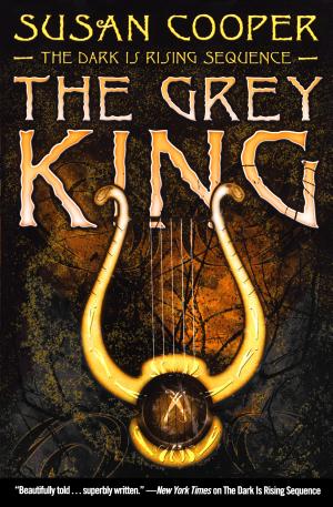 Cover image for The Grey King by Susan Cooper.