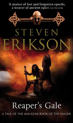 Cover image for Reaper's Gale by Steven Erikson.