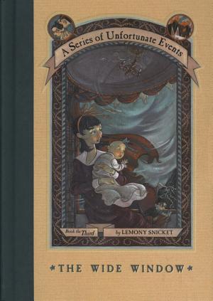 Cover image for The Wide Window by Lemony Snicket.