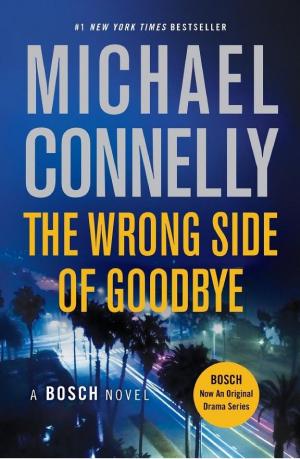 Cover image for The Wrong Side of Goodbye by Michael Connelly.