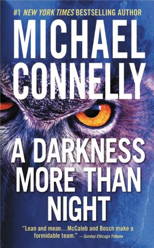 Cover image for A Darkness More Than Night by Michael Connelly.