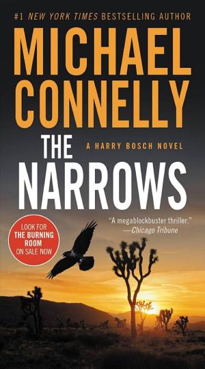 Cover image for The Narrows by Michael Connelly.