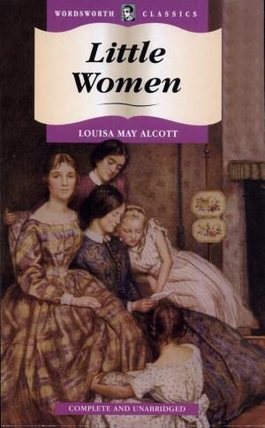 Cover image for Little Women by Louisa May Alcott.