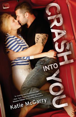 Cover image for Crash Into You by Katie McGarry.