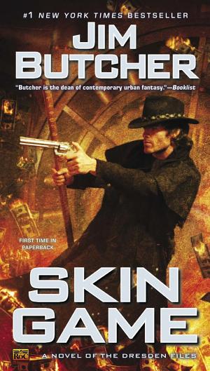 Cover image for Skin Game by Jim Butcher.