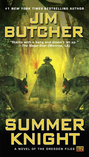 Cover image for Summer Knight by Jim Butcher.