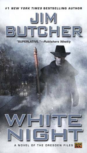 Cover image for White Night by Jim Butcher.