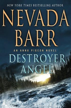 Cover image for Destroyer Angel by Nevada Barr.