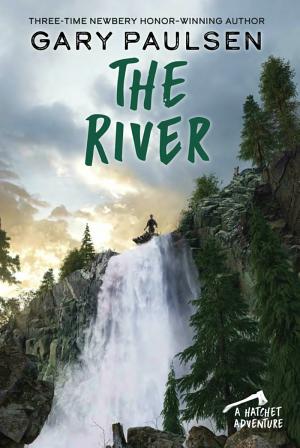 Cover image for The River by Gary Paulsen.