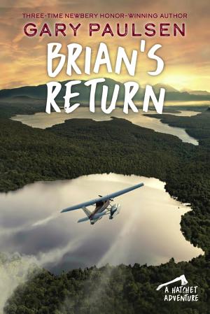 Cover image for Brian's Return by Gary Paulsen.