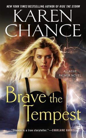 Cover image for Brave the Tempest by Karen Chance.