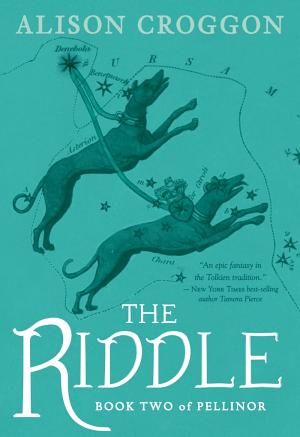 Cover image for The Riddle by Alison Croggon.