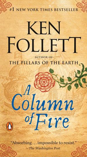 Cover image for A Column of Fire by Ken Follett.