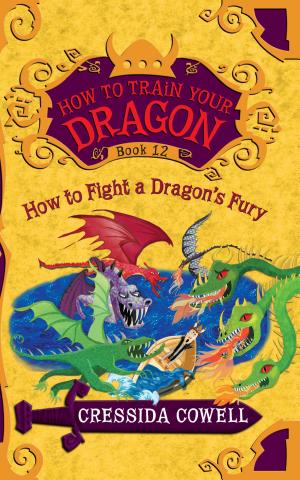 Cover image for How to Train Your Dragon: How to Fight a Dragon's Fury by Cressida Cowell.