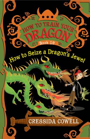 Cover image for How to Train Your Dragon: How to Seize a Dragon's Jewel by Cressida Cowell.