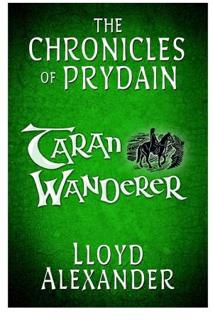 Cover image for Taran Wanderer by Lloyd Alexander.