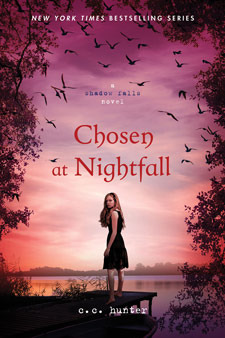 Cover image for Chosen at Nightfall by C. C. Hunter.