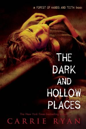 Cover image for The Dark and Hollow Places by Carrie Ryan.