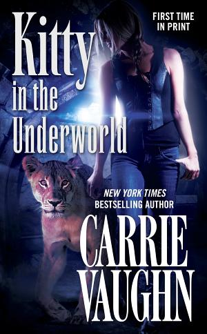 Cover image for Kitty in the Underworld by Carrie Vaughn.