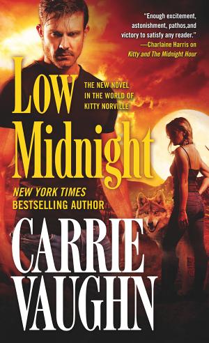 Cover image for Low Midnight by Carrie Vaughn.