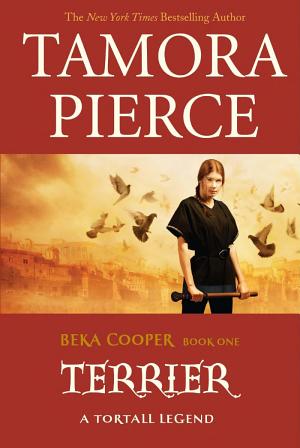 Cover image for Terrier by Tamora Pierce.