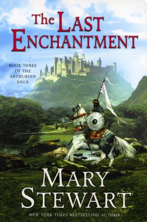 Cover image for The Last Enchantment by Mary Stewart.