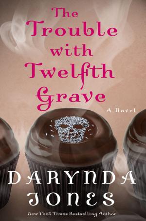 Cover image for The Trouble with Twelfth Grave by Darynda Jones.