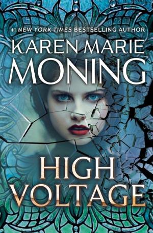 Cover image for High Voltage by Karen Marie Moning.