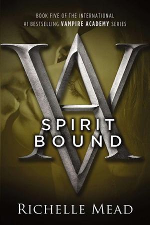 Cover image for Spirit Bound by Richelle Mead.