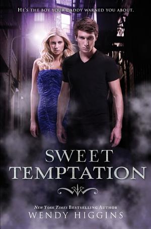 Cover image for Sweet Temptation by Wendy Higgins.