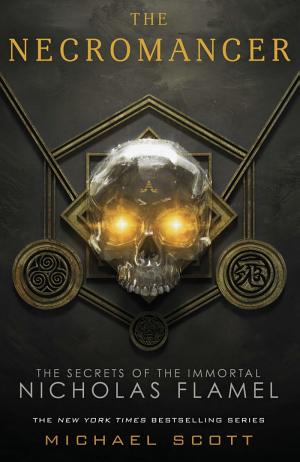 Cover image for The Necromancer by Michael Scott.