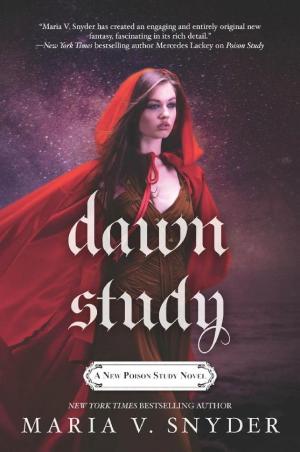 Cover image for Dawn Study by Maria V. Snyder.