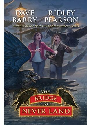 Cover image for The Bridge to Never Land by Dave Barry & Ridley Pearson.