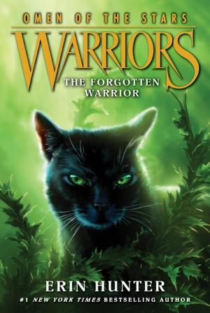 Cover image for The Forgotten Warrior by Erin Hunter.