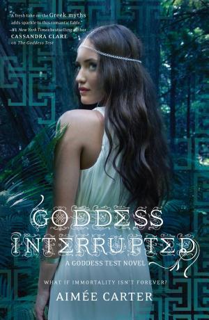 Cover image for Goddess Interrupted by Aimée Carter.