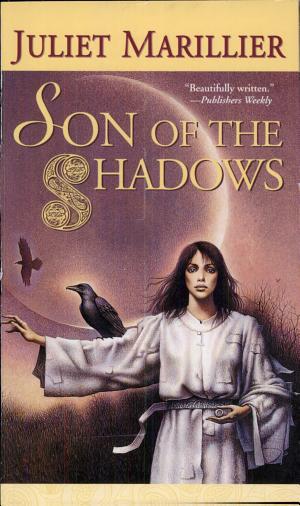 Cover image for Son of the Shadows by Juliet Marillier.