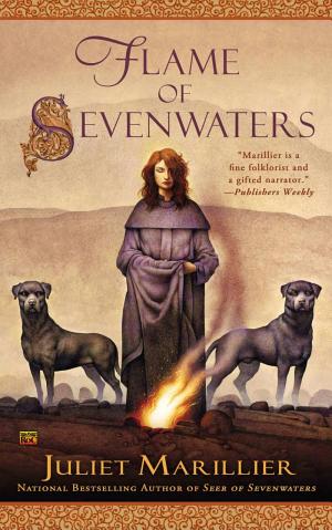 Cover image for Flame of Sevenwaters by Juliet Marillier.