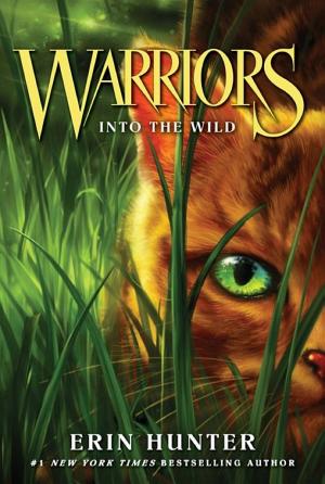 Cover image for Warriors #1: Into the Wild by Erin Hunter.