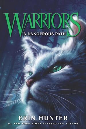 Cover image for Warriors #5: A Dangerous Path by Erin Hunter.