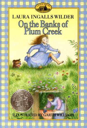 Cover image for On the Banks of Plum Creek by Laura Ingalls Wilder.